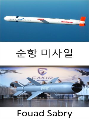 cover image of 순항 미사일